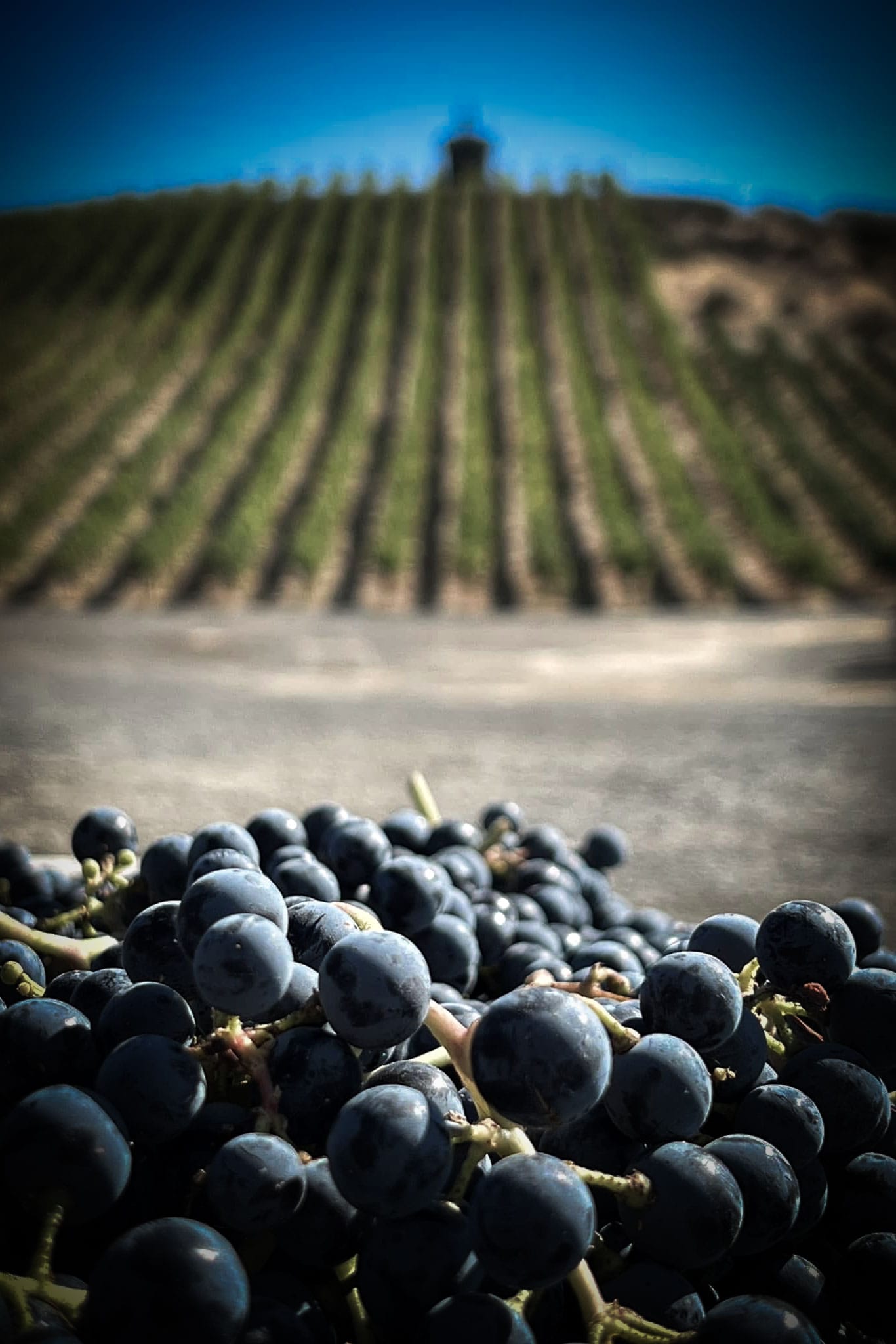 Castle & Crown Cellars